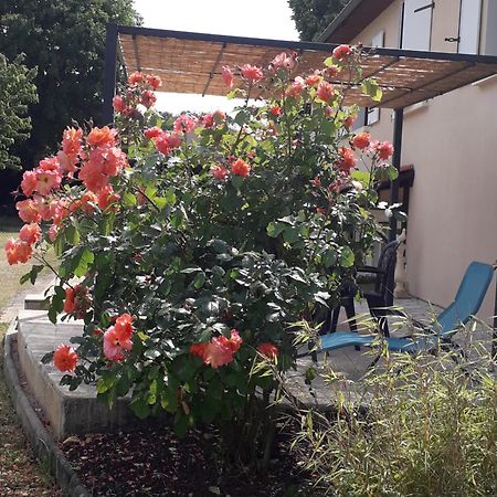 La Salamandre Bed & Breakfast Chazelles  Bagian luar foto