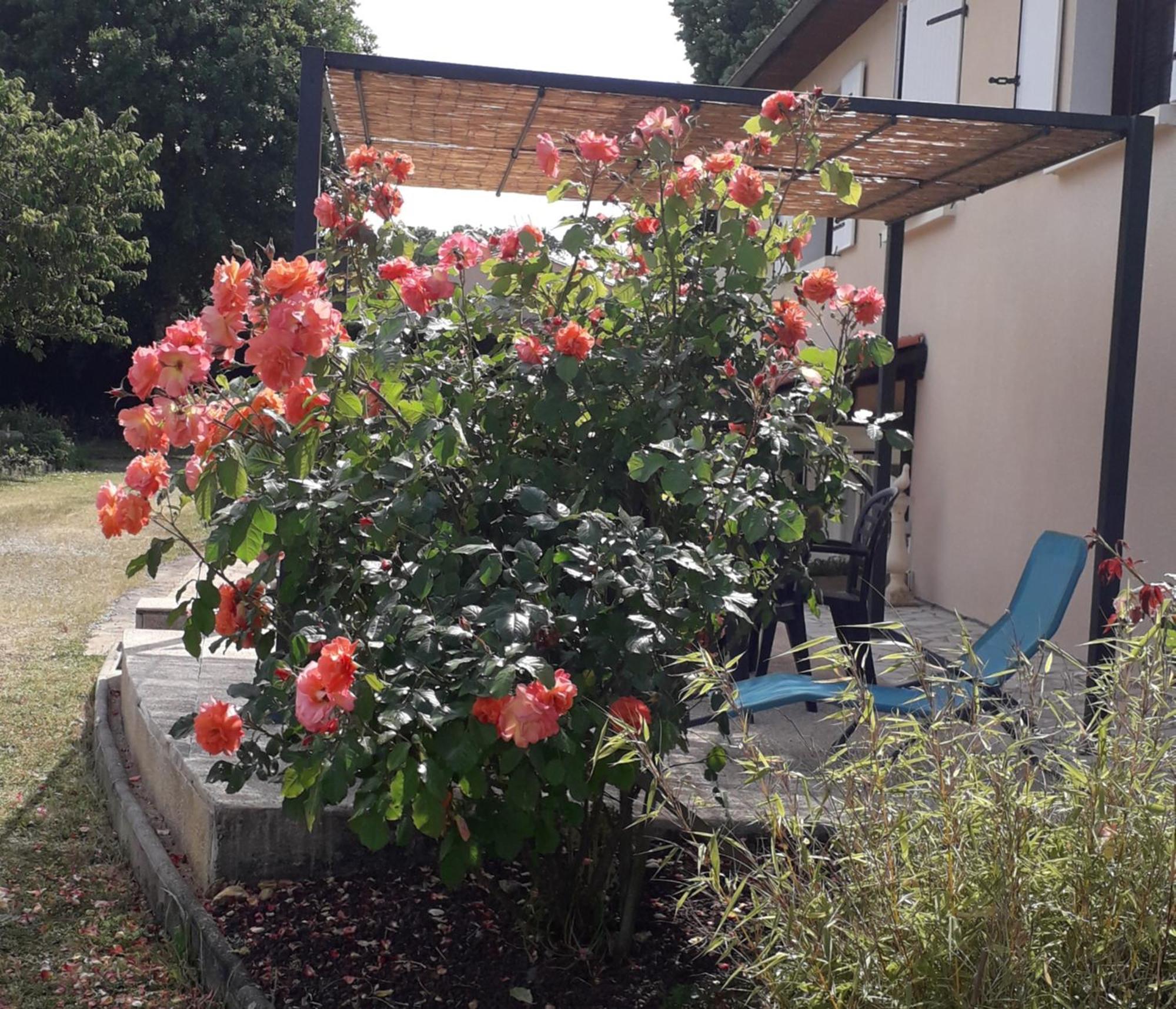 La Salamandre Bed & Breakfast Chazelles  Bagian luar foto